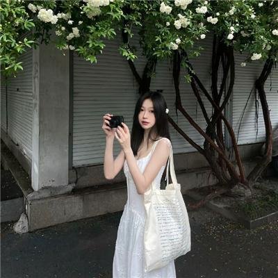 皇太极海报