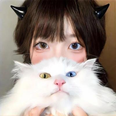 铁甲小宝海报