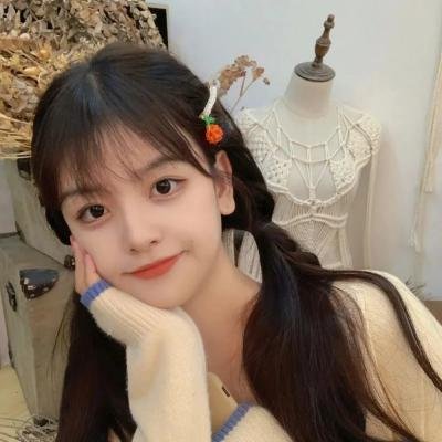 安东与安东妮海报